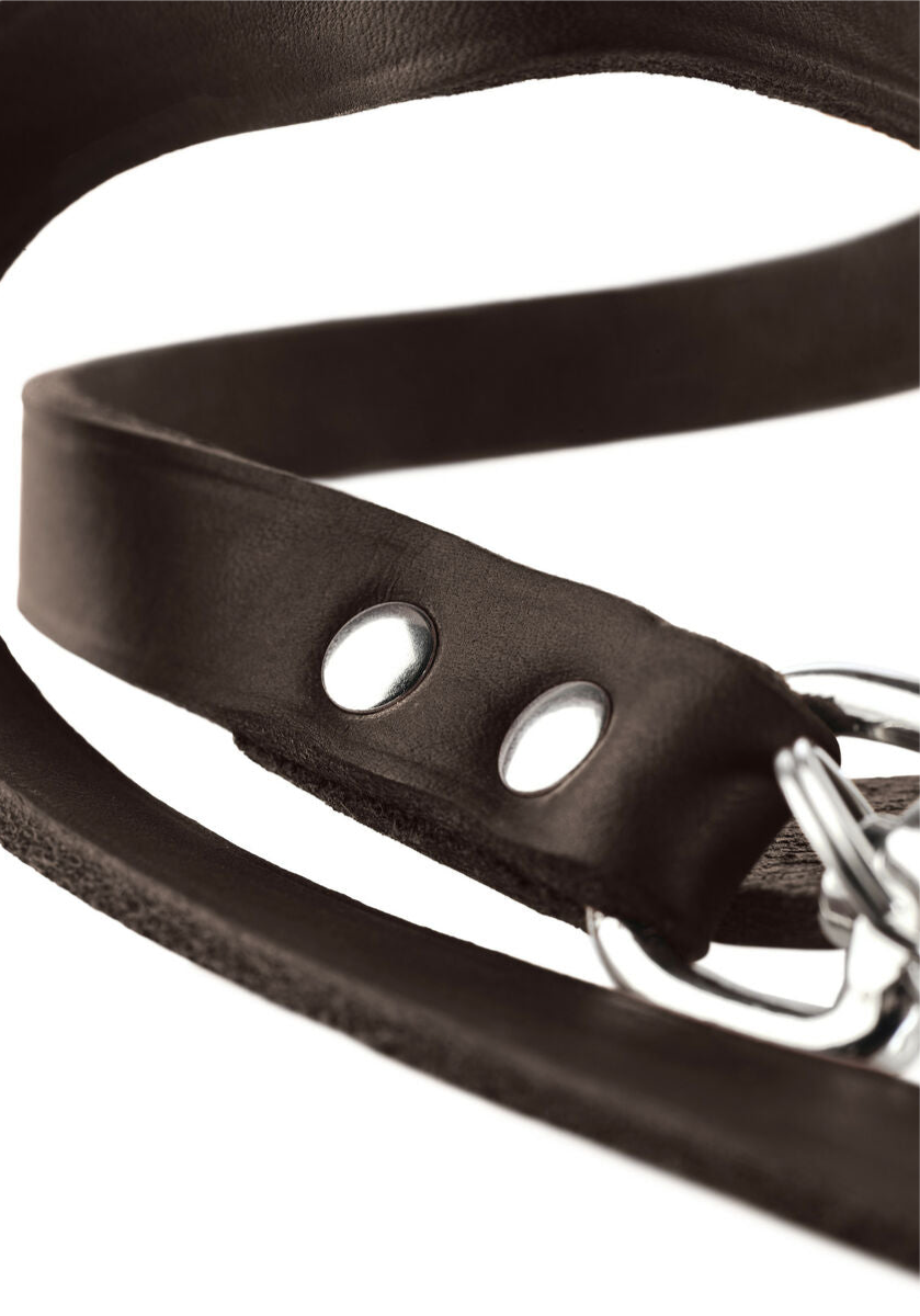 Lederhundeleine Hunter Braun (2m Länge, verstellbar)