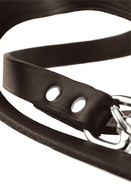 Lederhundeleine Hunter Braun (2m Länge, verstellbar)